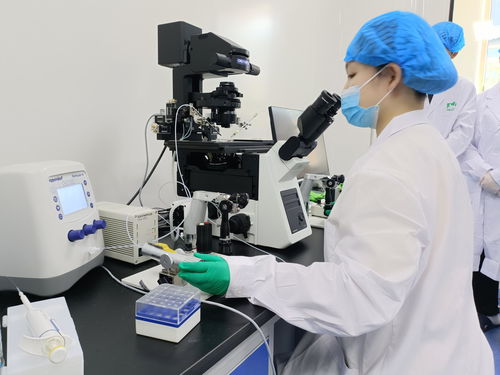 創新驅動引領發展，慶陽科技創新量質齊升——以視力保健儀技術開發為例